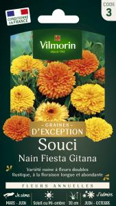 Souci Nain Fiesta Gitana - Graines d'Exception